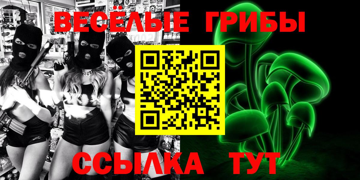 Псилоцибиновые грибы Psilocybine cubensis Череповец